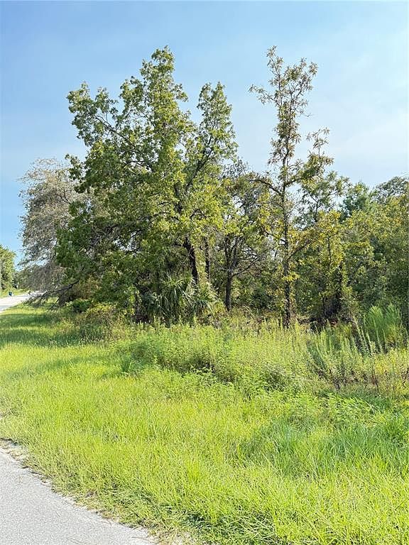 11096 Marsh Wren Ave LOT 7 Brooksville, FL 34614 - Thumbnail 4