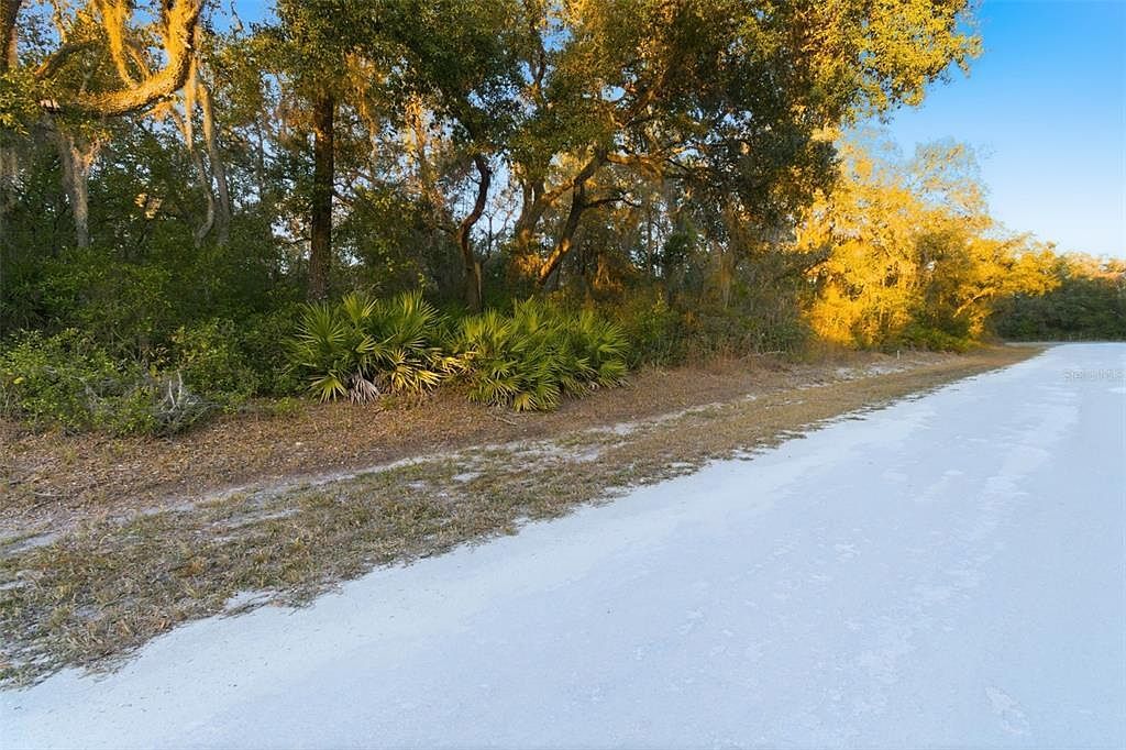 Riverstone St LOT 7 Webster, FL 33597 - Thumbnail 4