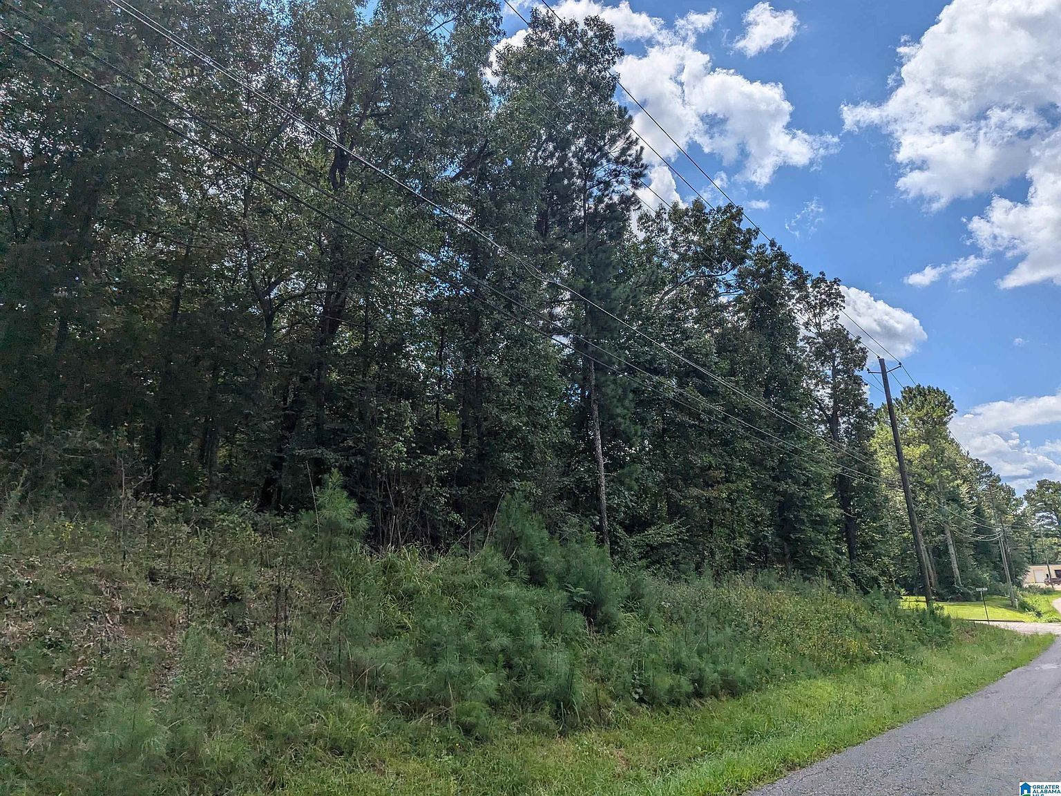 0 Jones Rd Lot 1 Anniston, AL 36207 - Thumbnail 4