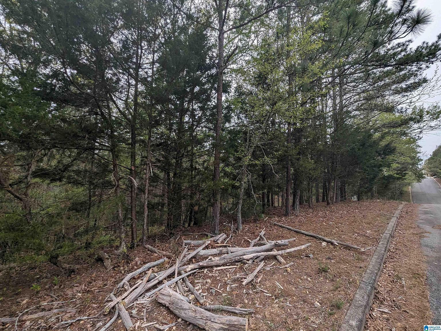 0 Winfrey Ln Lot 241 Anniston, AL 36206 - Thumbnail 4