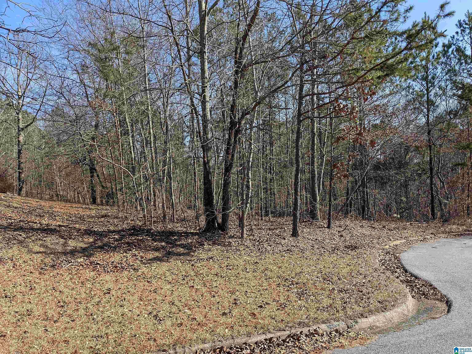 0 Winfrey Ln Lot 246 Anniston, AL 36206 - Thumbnail 4