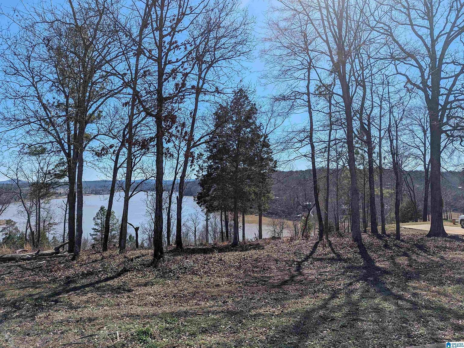 0 Overlook Rdg #0 Lincoln, AL 35096 - Thumbnail 4