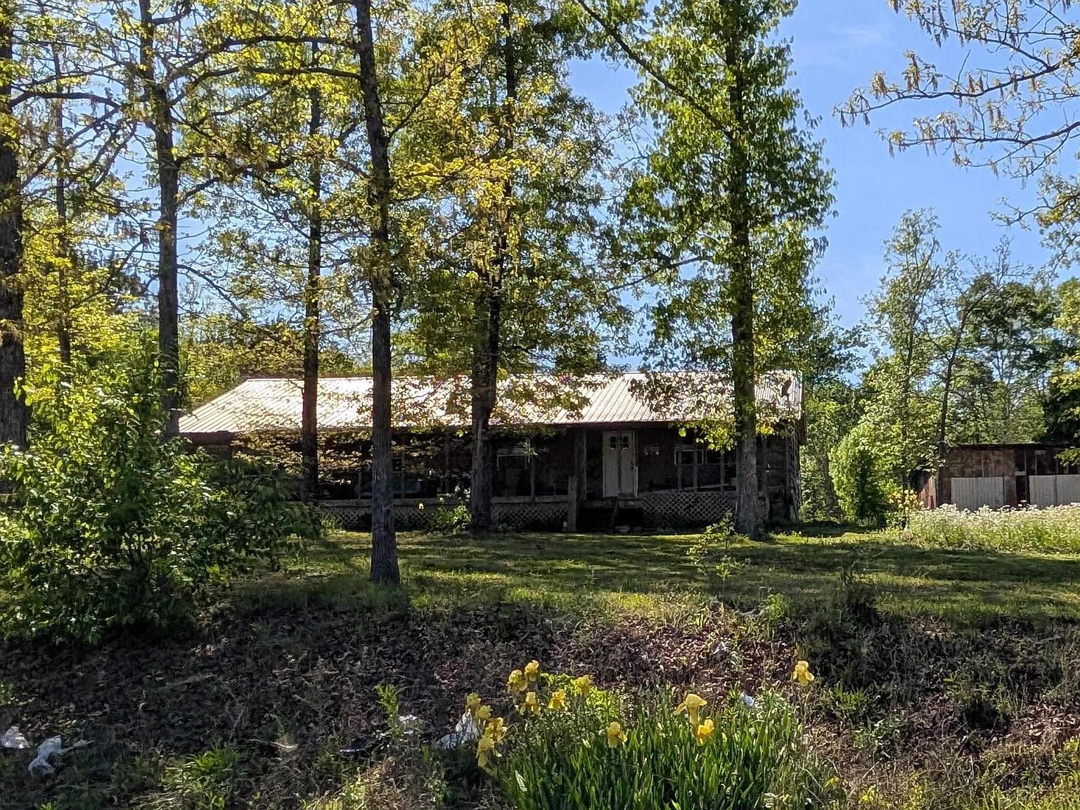 2091 County Road 19 Piedmont, AL 36272 - Thumbnail 4