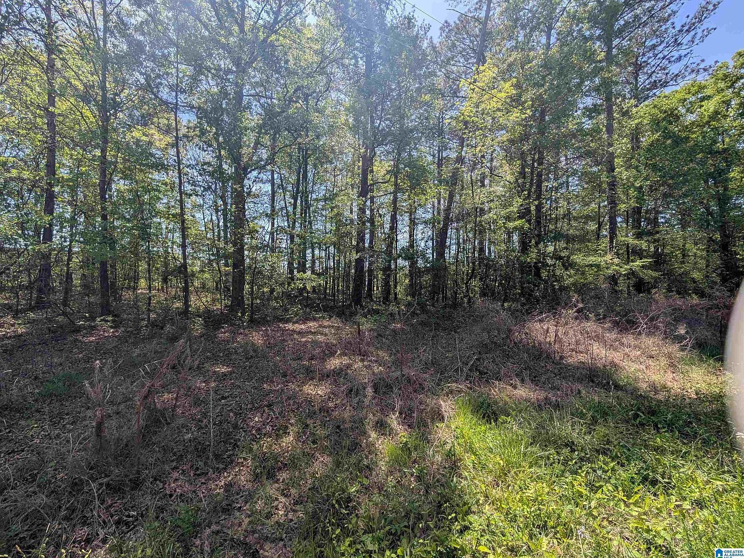 0 Paradise Ave #11 Gadsden, AL 35903 - Thumbnail 4