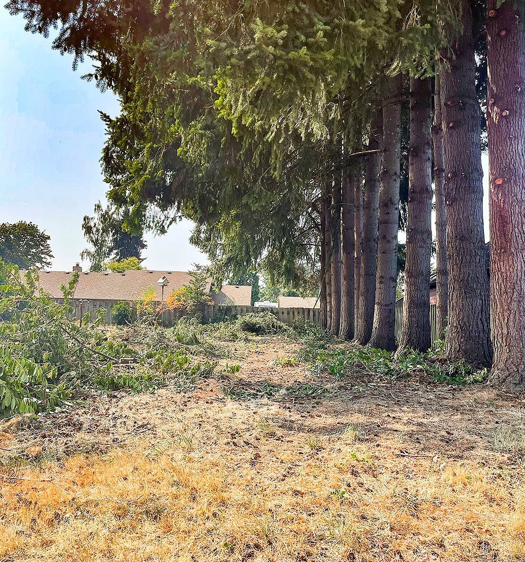 30970 NW Kaybern St North Plains, OR 97133 - Thumbnail 4