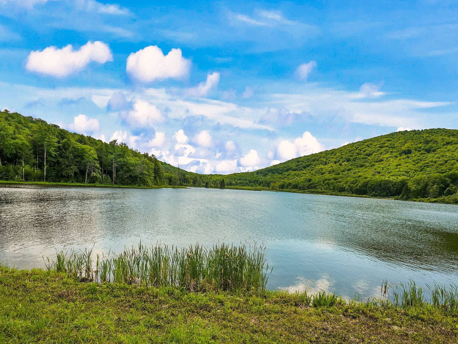 0 Deer Path Stamford, NY 12167 - Thumbnail 4