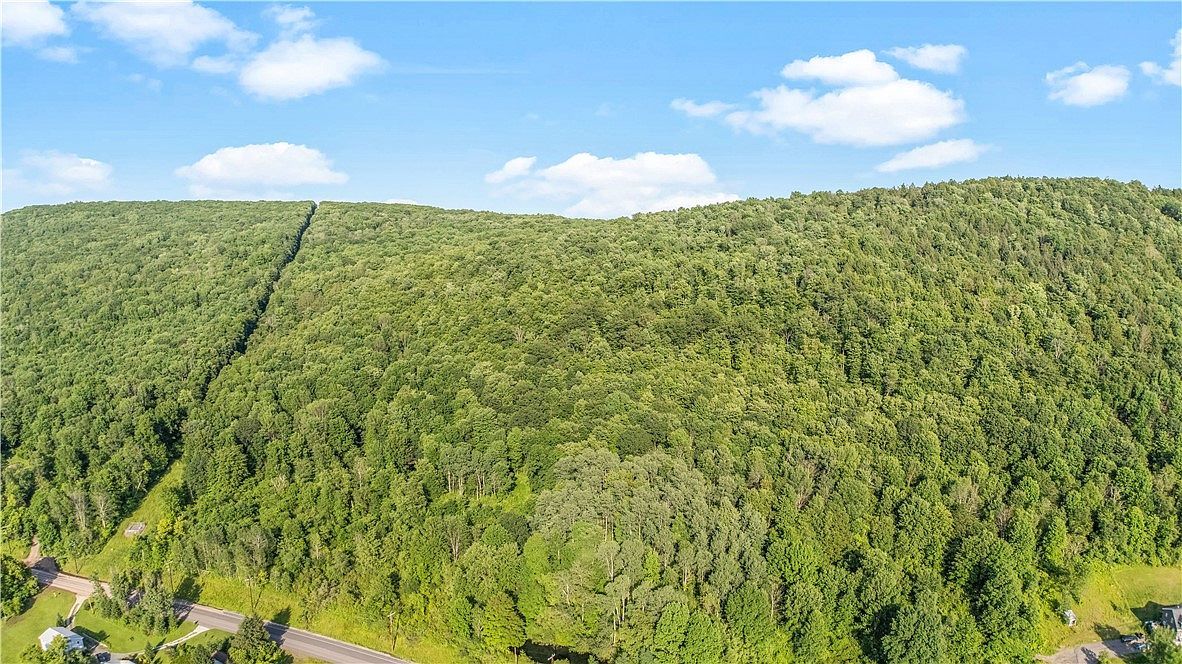 L311 County Road 32 Norwich, NY 13815 - Thumbnail 4