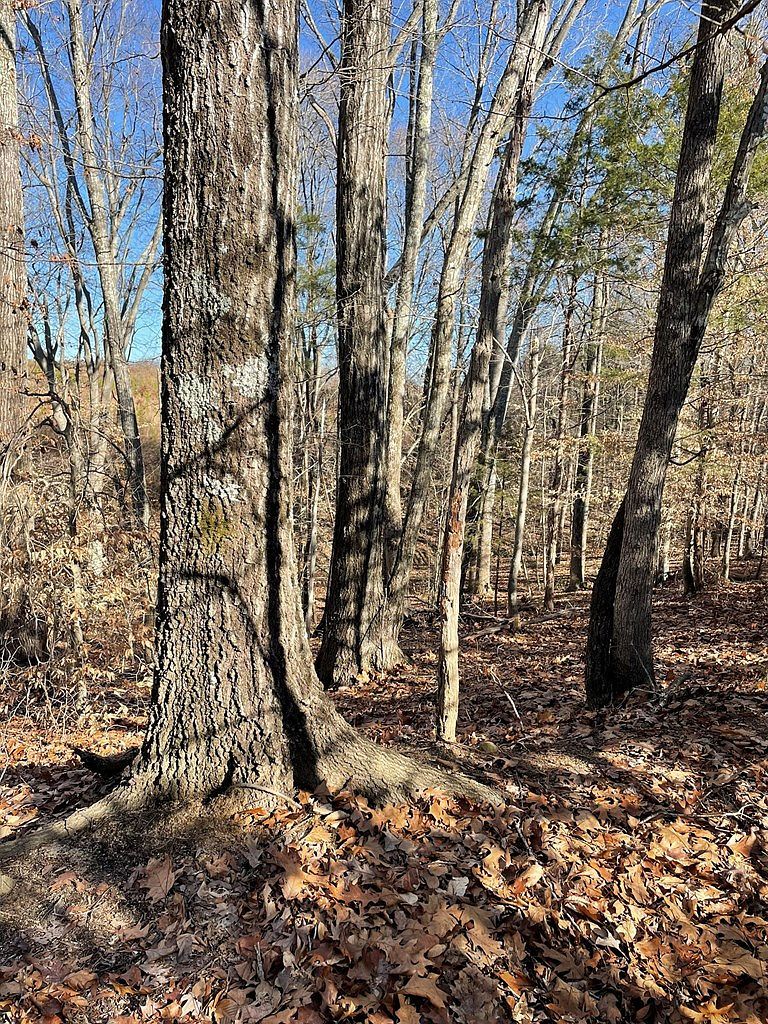 LOT 7 Fern Dr Clarksville, VA 23927 - Thumbnail 4