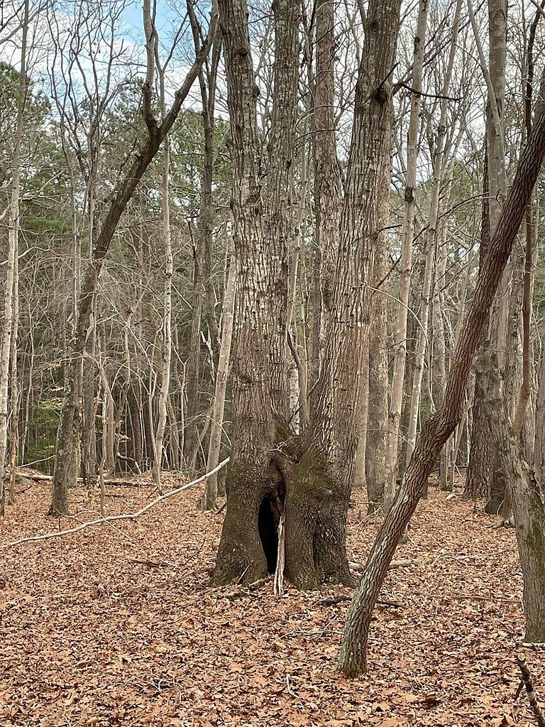 130 Eagles Rest Dr Clarksville, VA 23927 - Thumbnail 4