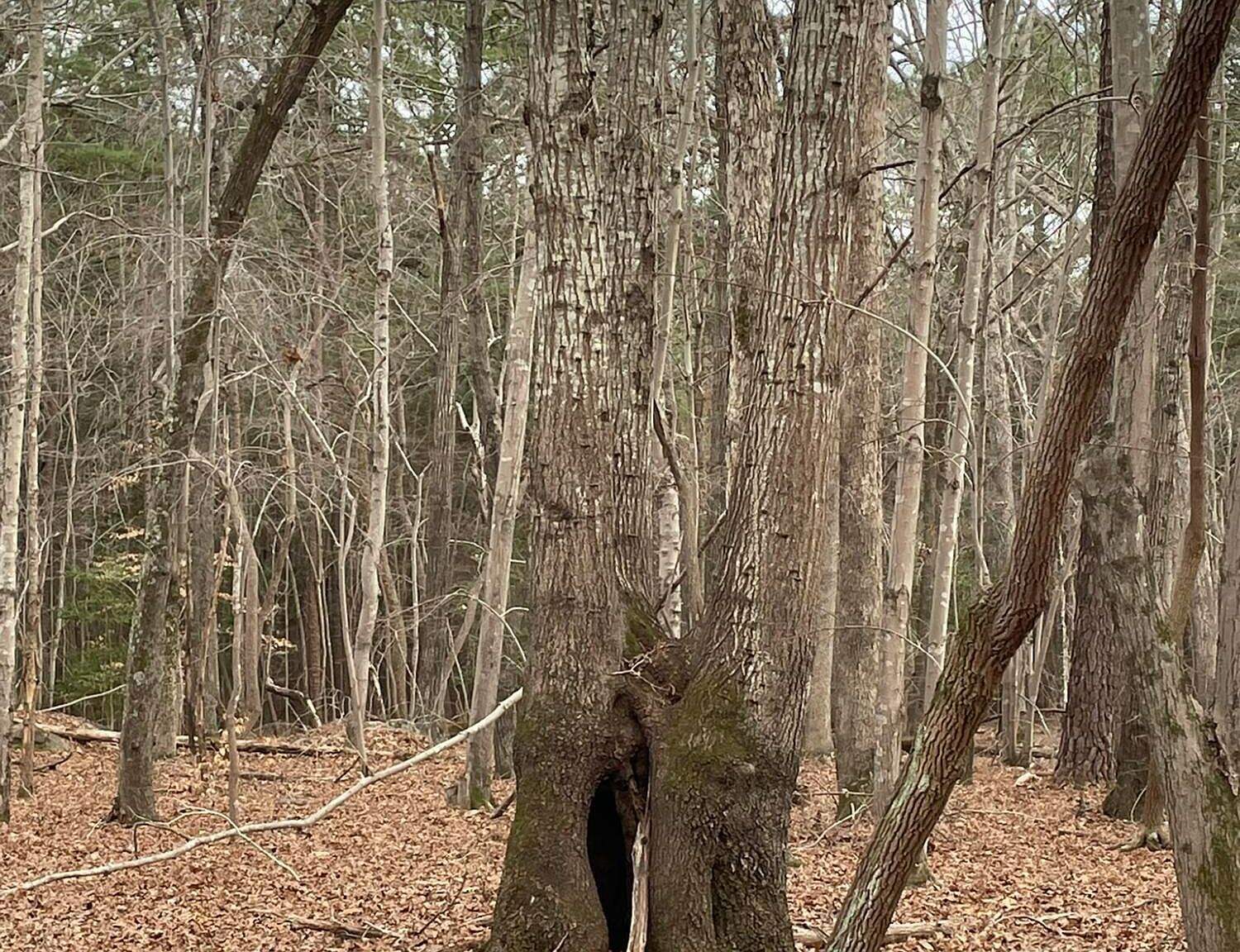 130 Eagles Rest Dr #10 Clarksville, VA 23927 - Thumbnail 4