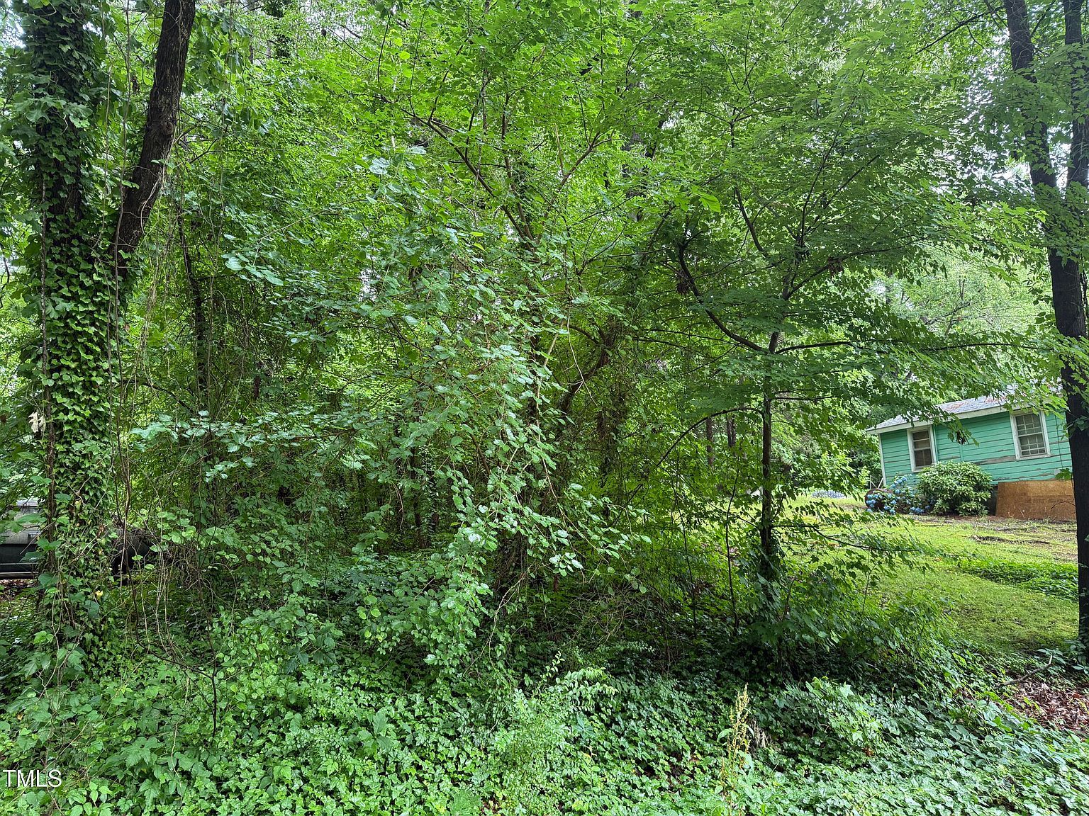 0 Thomas St Henderson, NC 27536 - Thumbnail 4