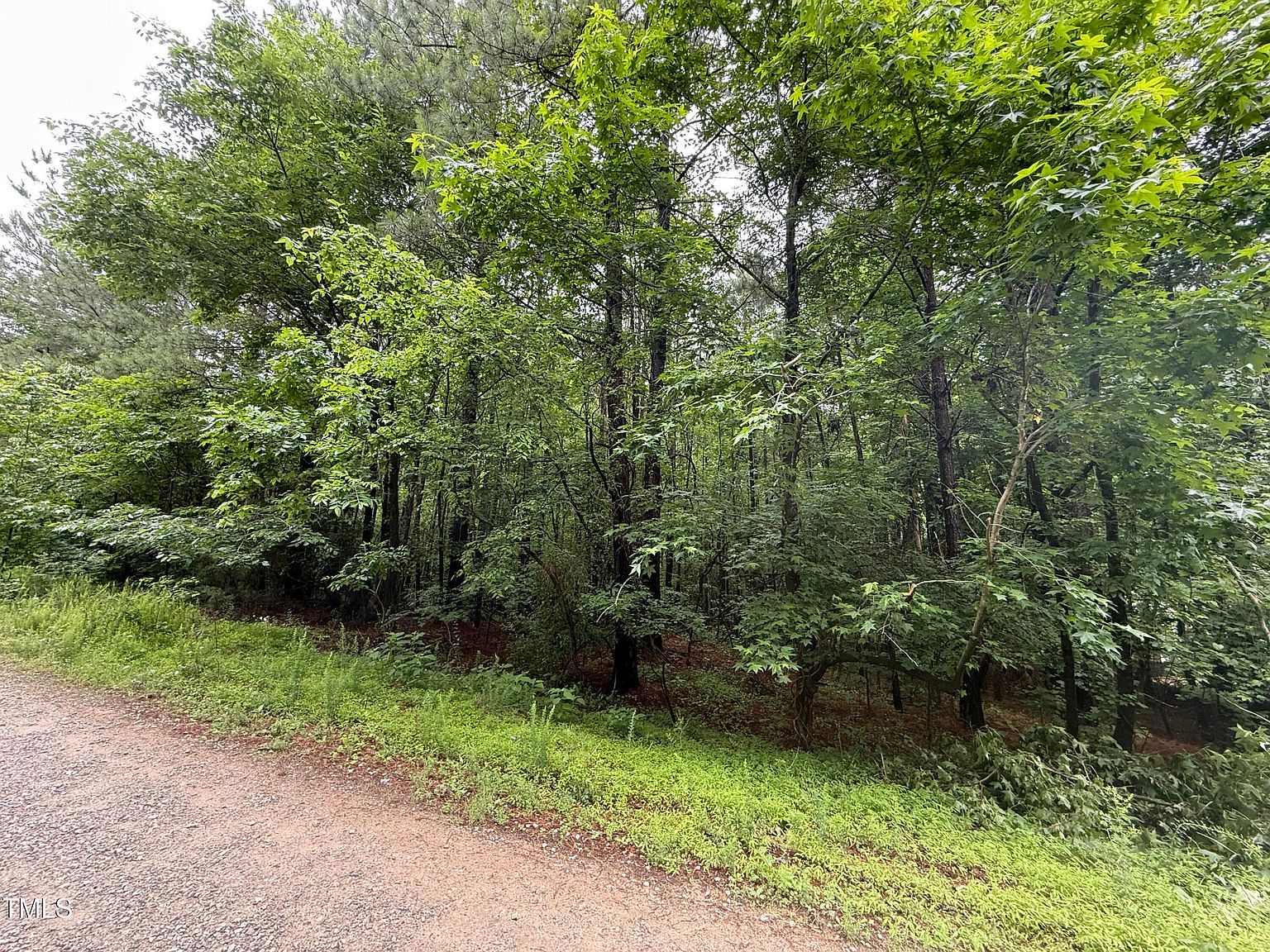 729 Regina Ln LOT 86 Henderson, NC 27537 - Thumbnail 4