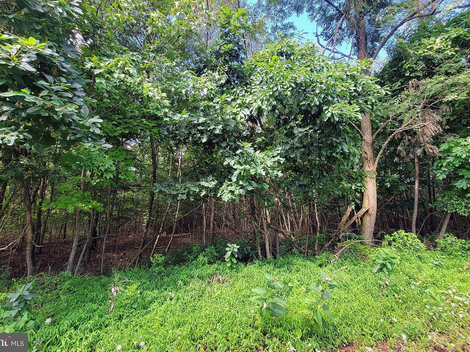 0 Whitetail Crossing Rd Tamaqua, PA 18252 - Thumbnail 4