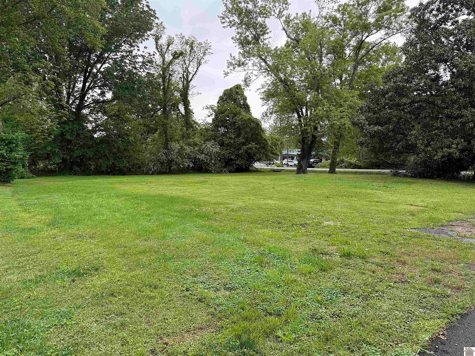 805 Sycamore St Murray, KY 42071 - Thumbnail 4