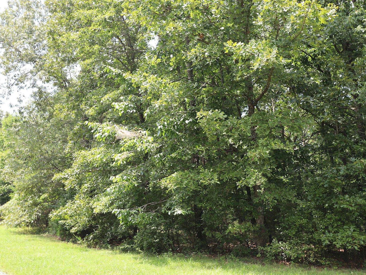 LOT 90 Pelican Ln Murray, KY 42071 - Thumbnail 4