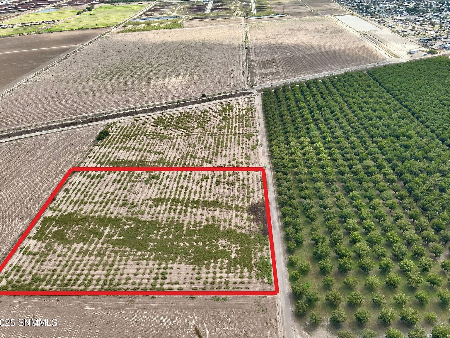 213 Sunshine Ln Mesquite, NM 88048 - Thumbnail 4