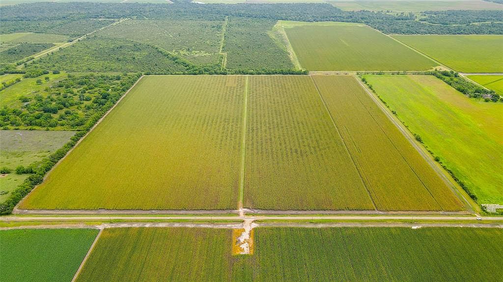 0 County Road 384 Louise, TX 77455 - Thumbnail 4