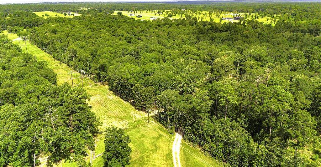 387 Hackberry Dr Onalaska, TX 77360 - Thumbnail 4