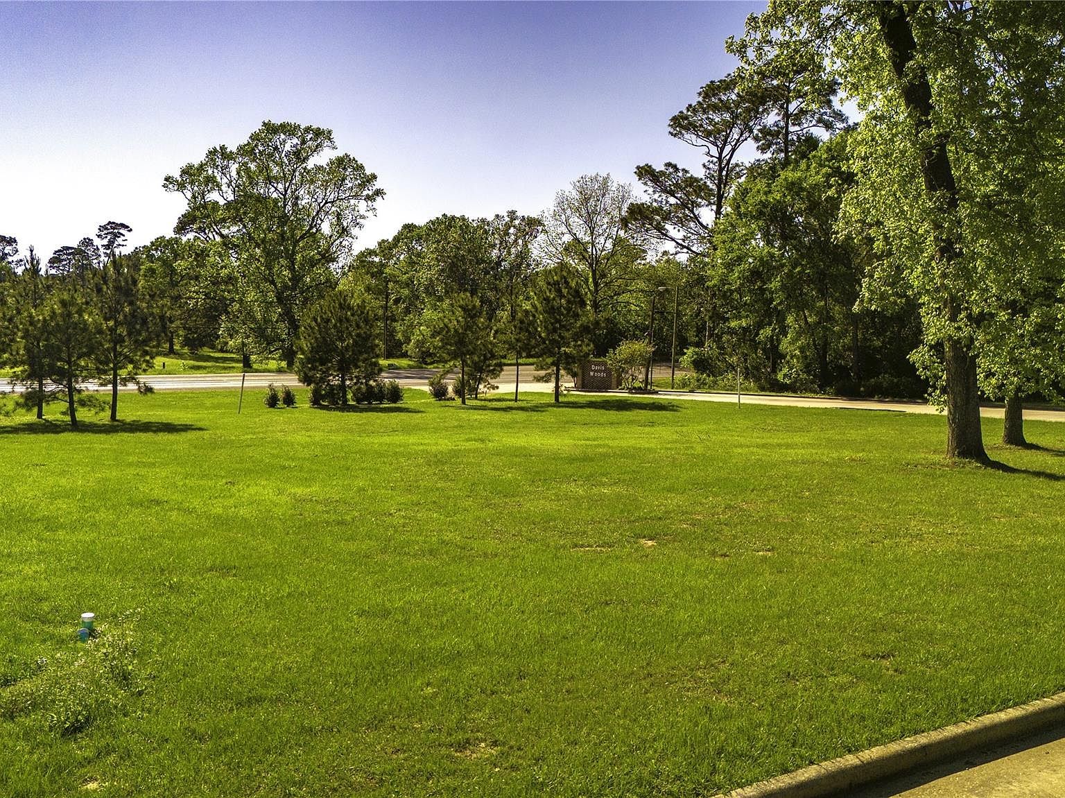 Hawthorn Cir Livingston, TX 77351 - Thumbnail 4