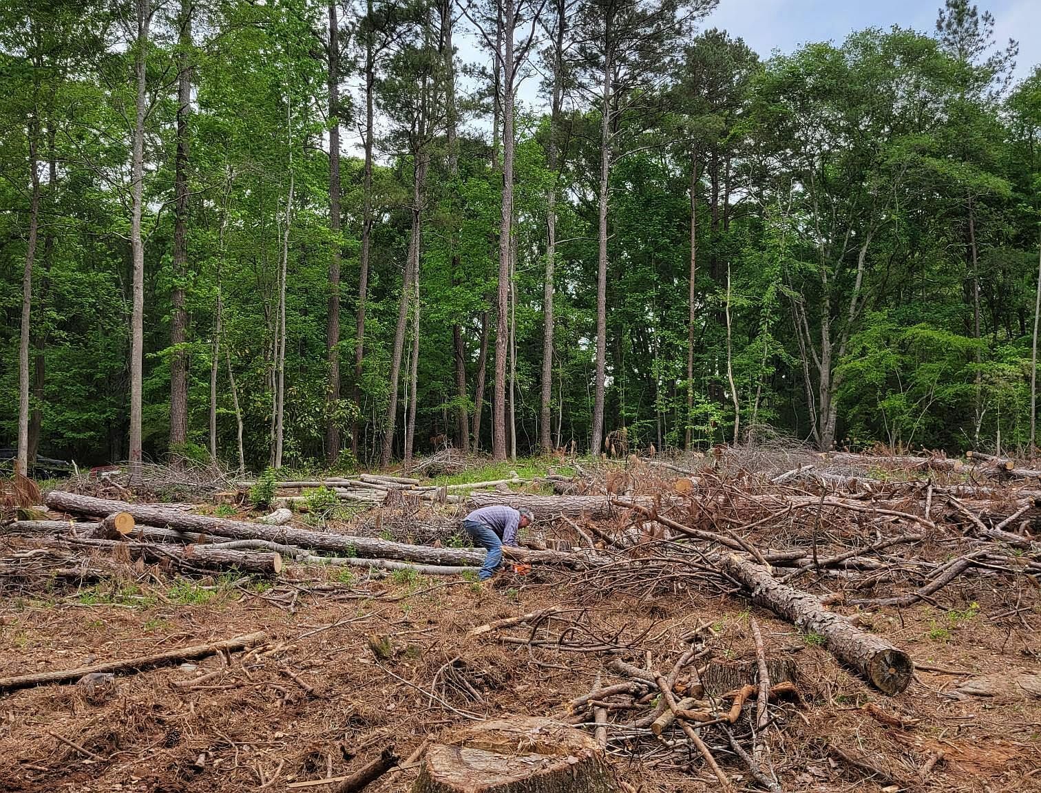 0 Maple Trl Sharpsburg, GA 30277 - Thumbnail 4