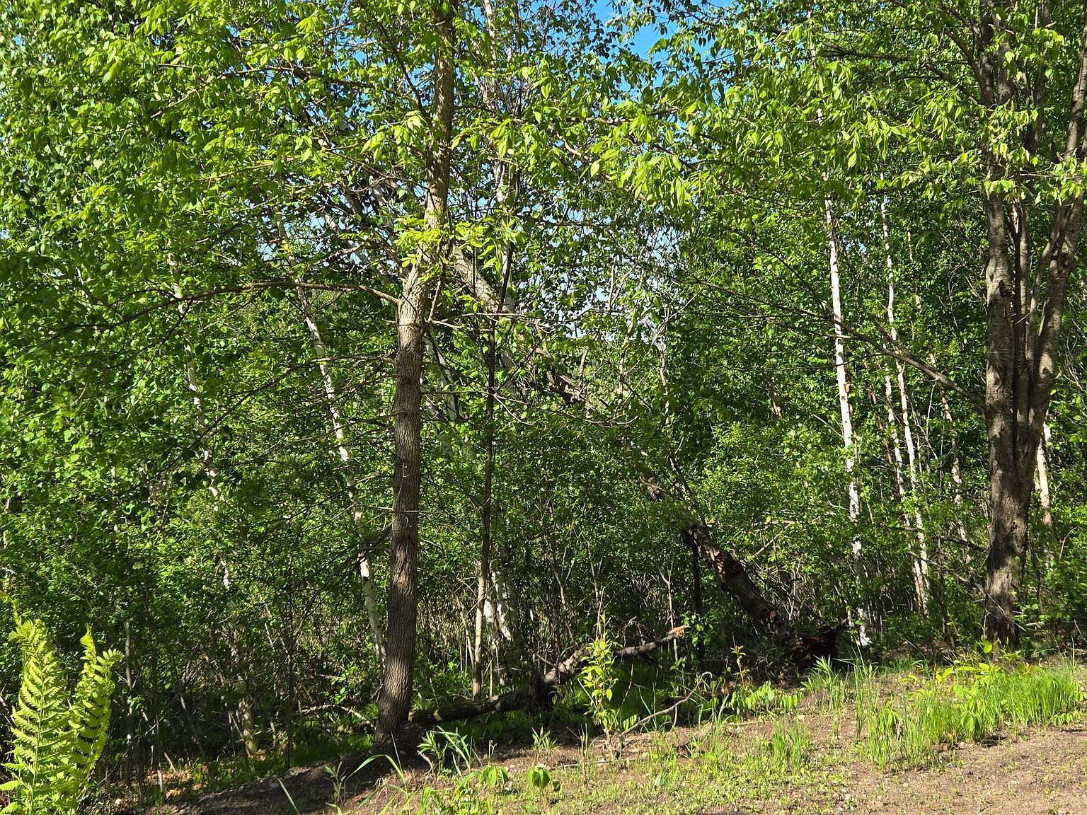 X 360th St Onamia, MN 56359 - Thumbnail 4