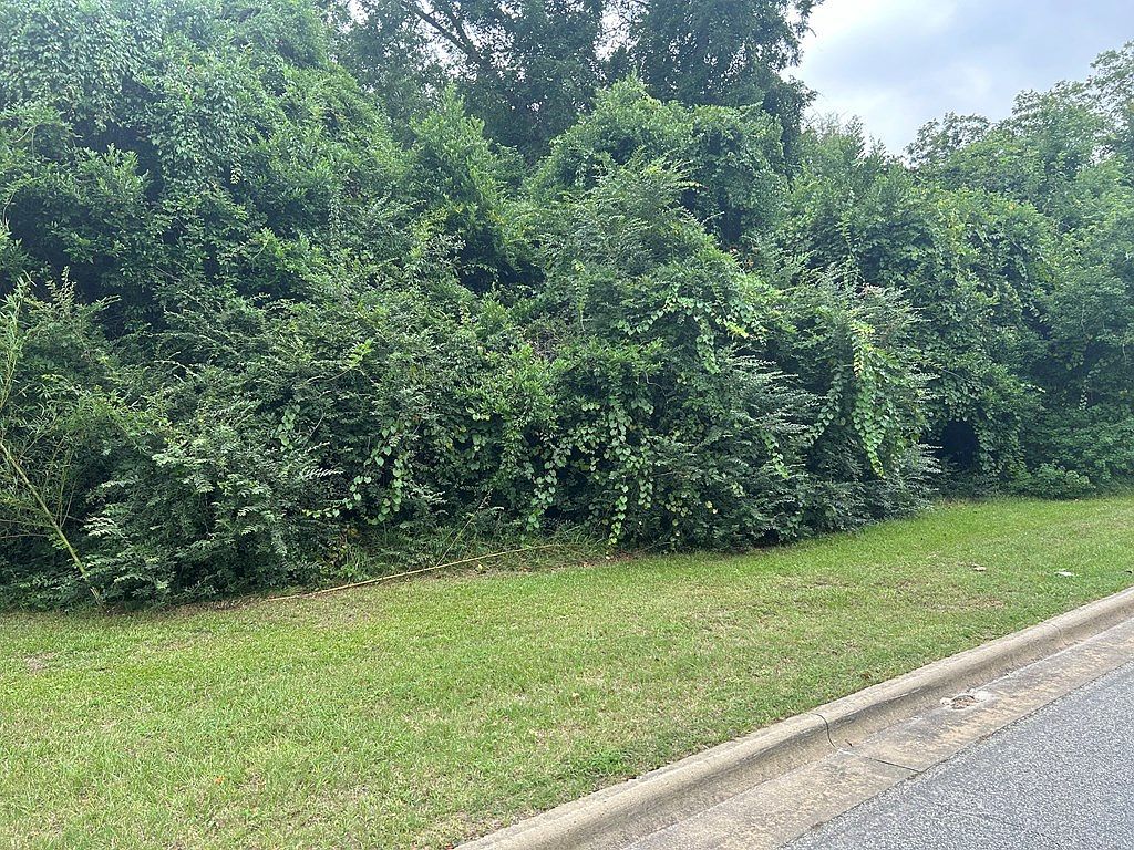 307 E Pope St Sylvester, GA 31791 - Thumbnail 4