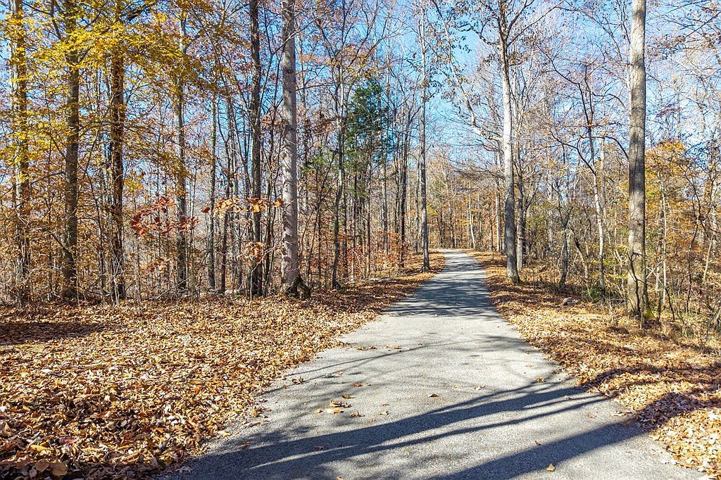 Red Bud Ln Hilham, TN 38568 - Thumbnail 4