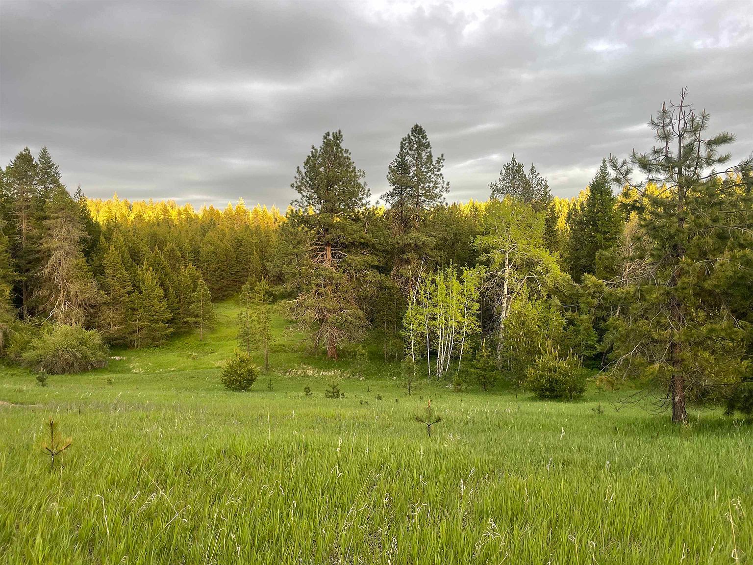 4435 Whittier Rd Lot 2 Clayton, WA 99110 - Thumbnail 4