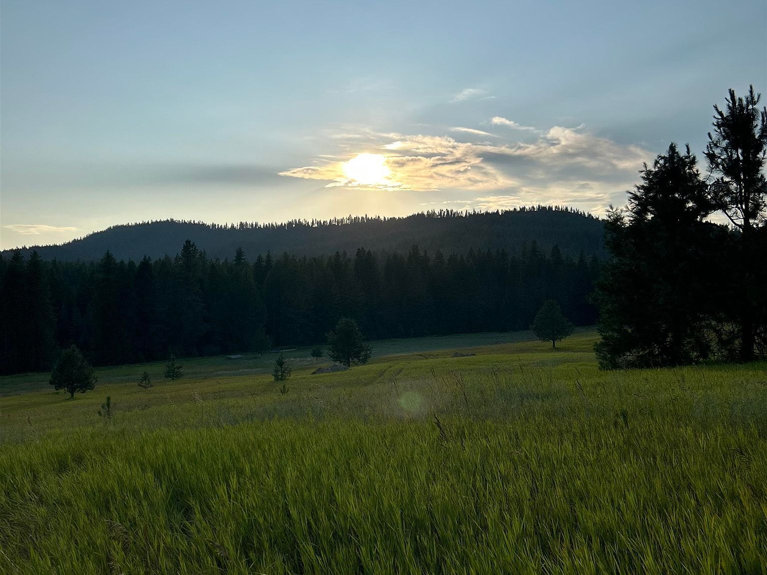 4435 Whittier Rd Lot 1 Clayton, WA 99110 - Thumbnail 4