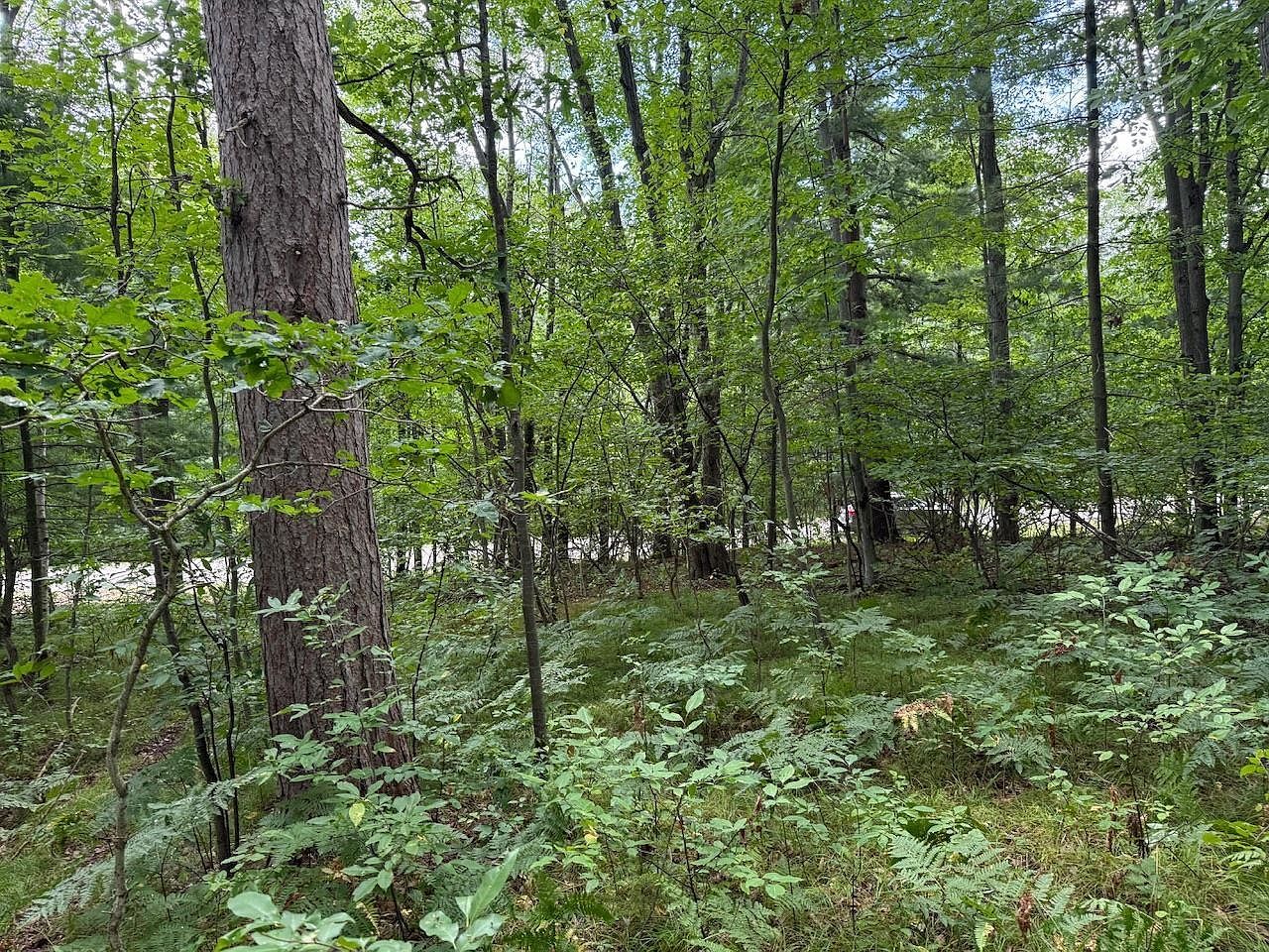 5 Hawthorn St Harrison, MI 48625 - Thumbnail 4