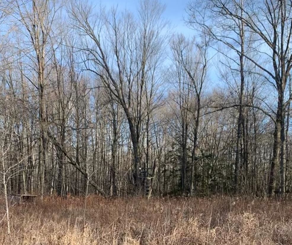 624 E McKimmey Rd Gladwin, MI 48624 - Thumbnail 4