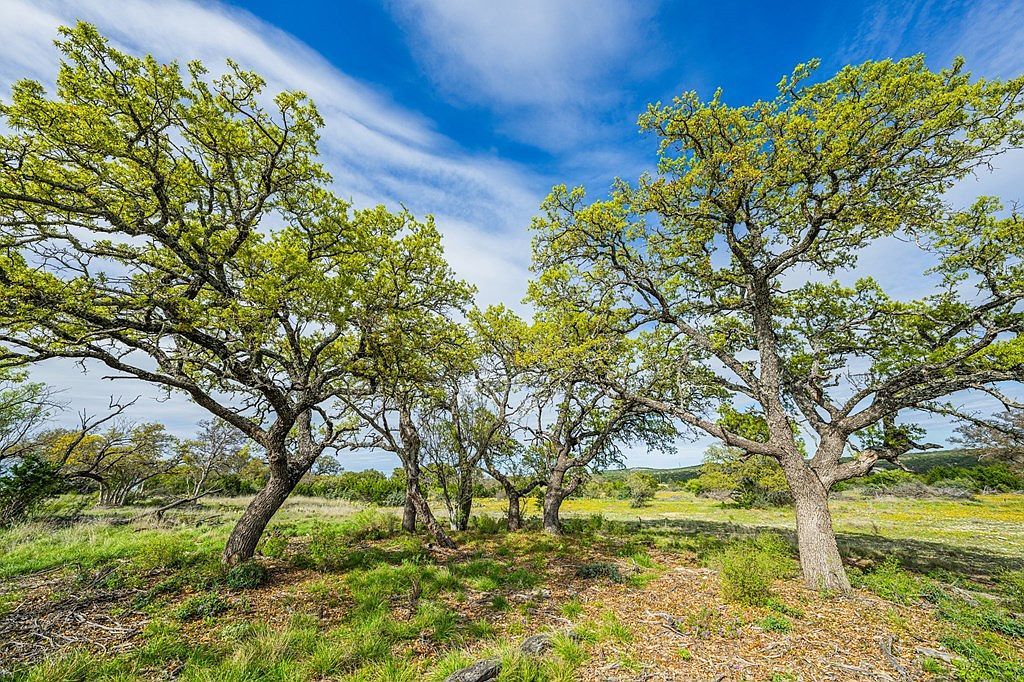 141 Spring Blf Junction, TX 76849 - Thumbnail 4