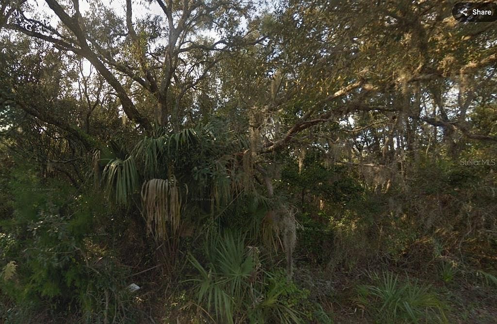 6830 W Twins Crescent Dr #6 Homosassa, FL 34446  | Land/Lot