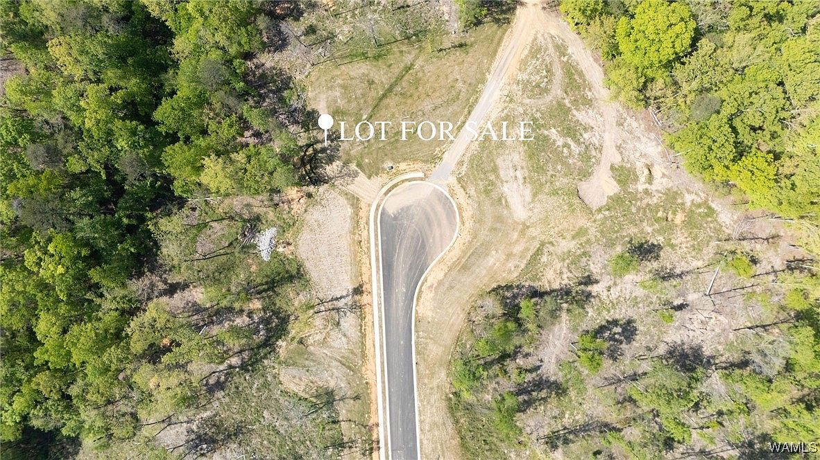 44 Nantucket Ave Tuscaloosa, AL 35406 - Thumbnail 4