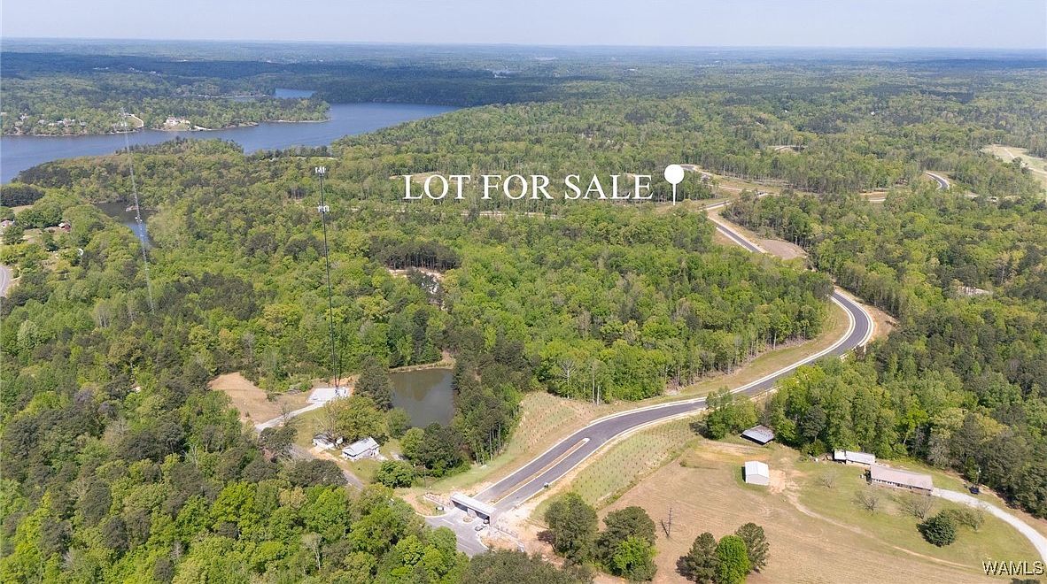 35 Fiji Way Tuscaloosa, AL 35406 - Thumbnail 4