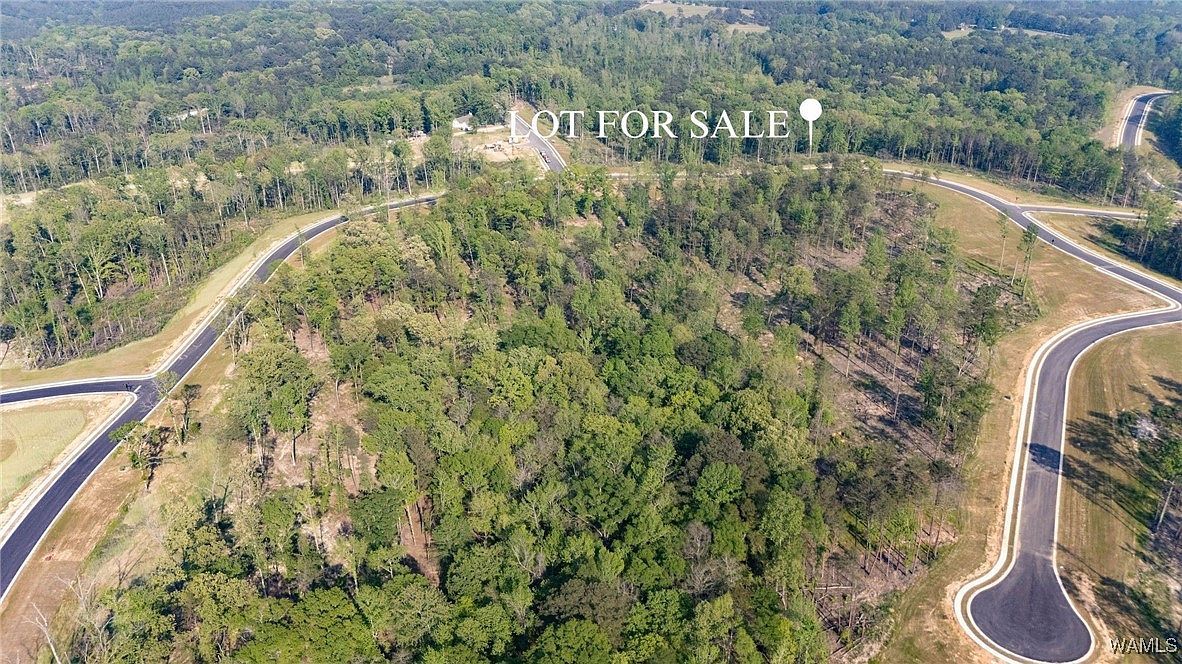 8 Lake Island Rd Tuscaloosa, AL 35406 - Thumbnail 4