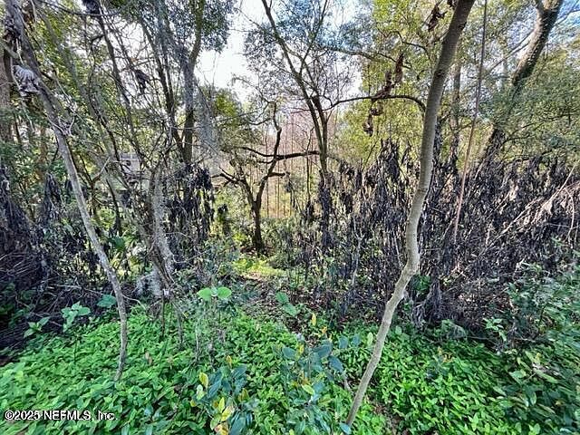 0 River Bluff Rd Jacksonville, FL 32211 - Thumbnail 4
