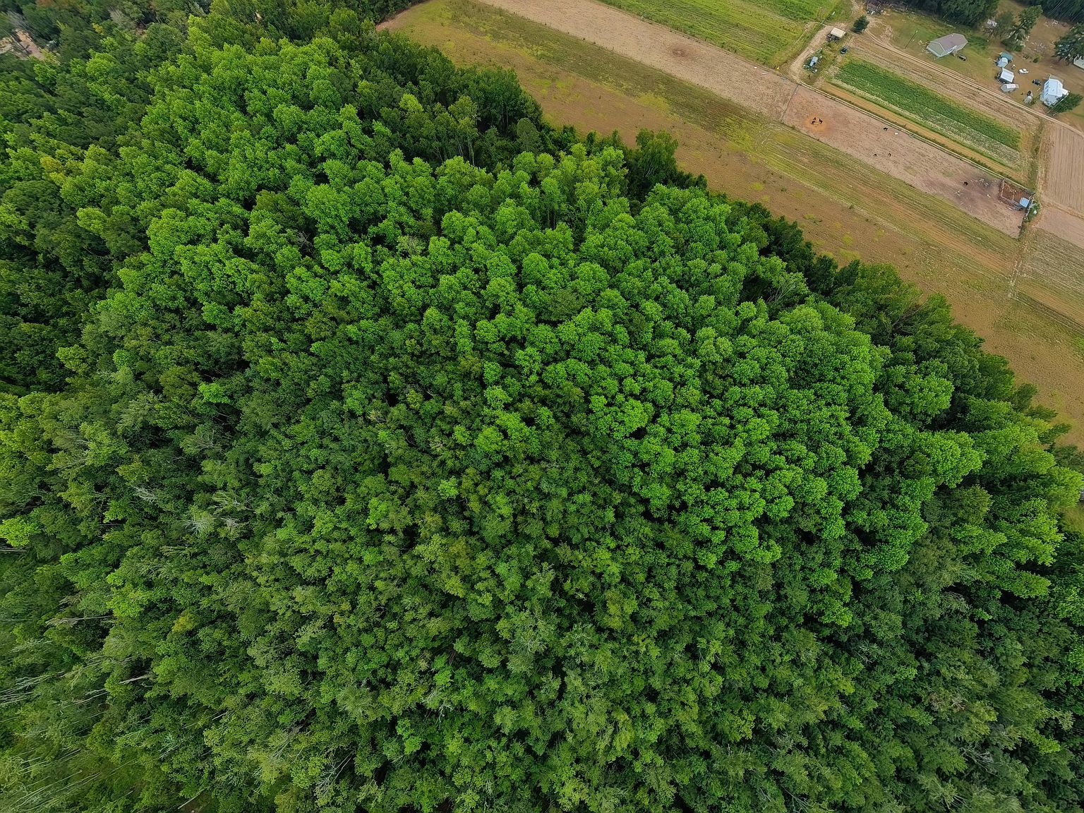 10600 Us Highway 80 E Brooklet, GA 30415 - Thumbnail 4
