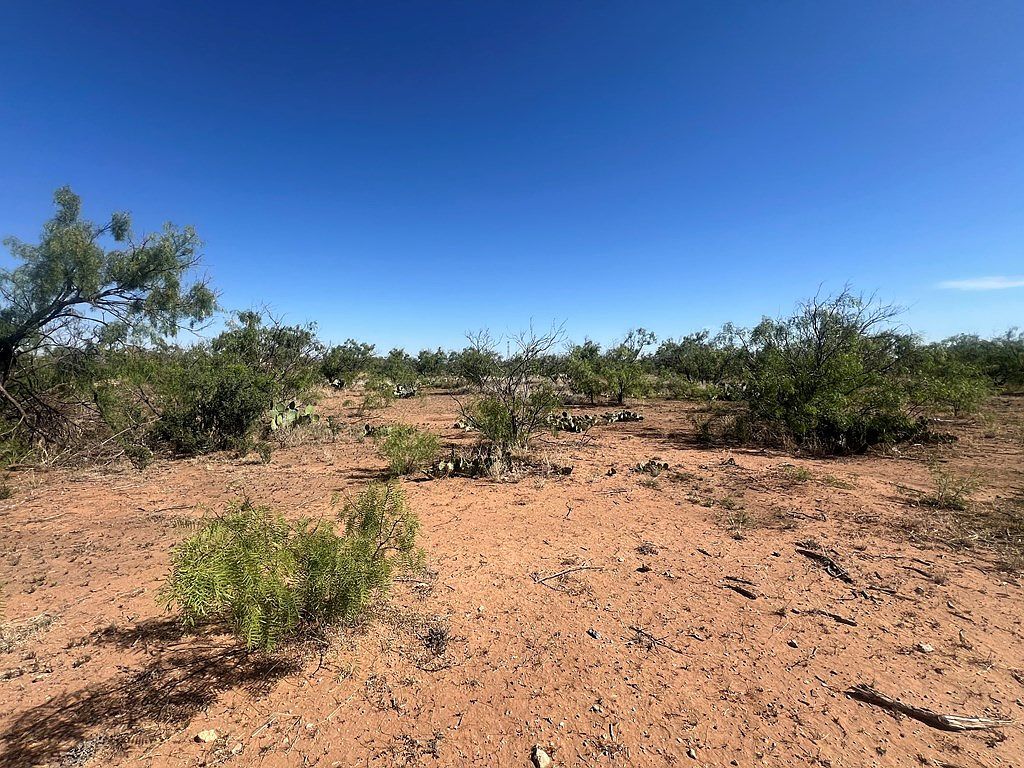 0 E Moss Lake Rd Big Spring, TX 79720 - Thumbnail 4