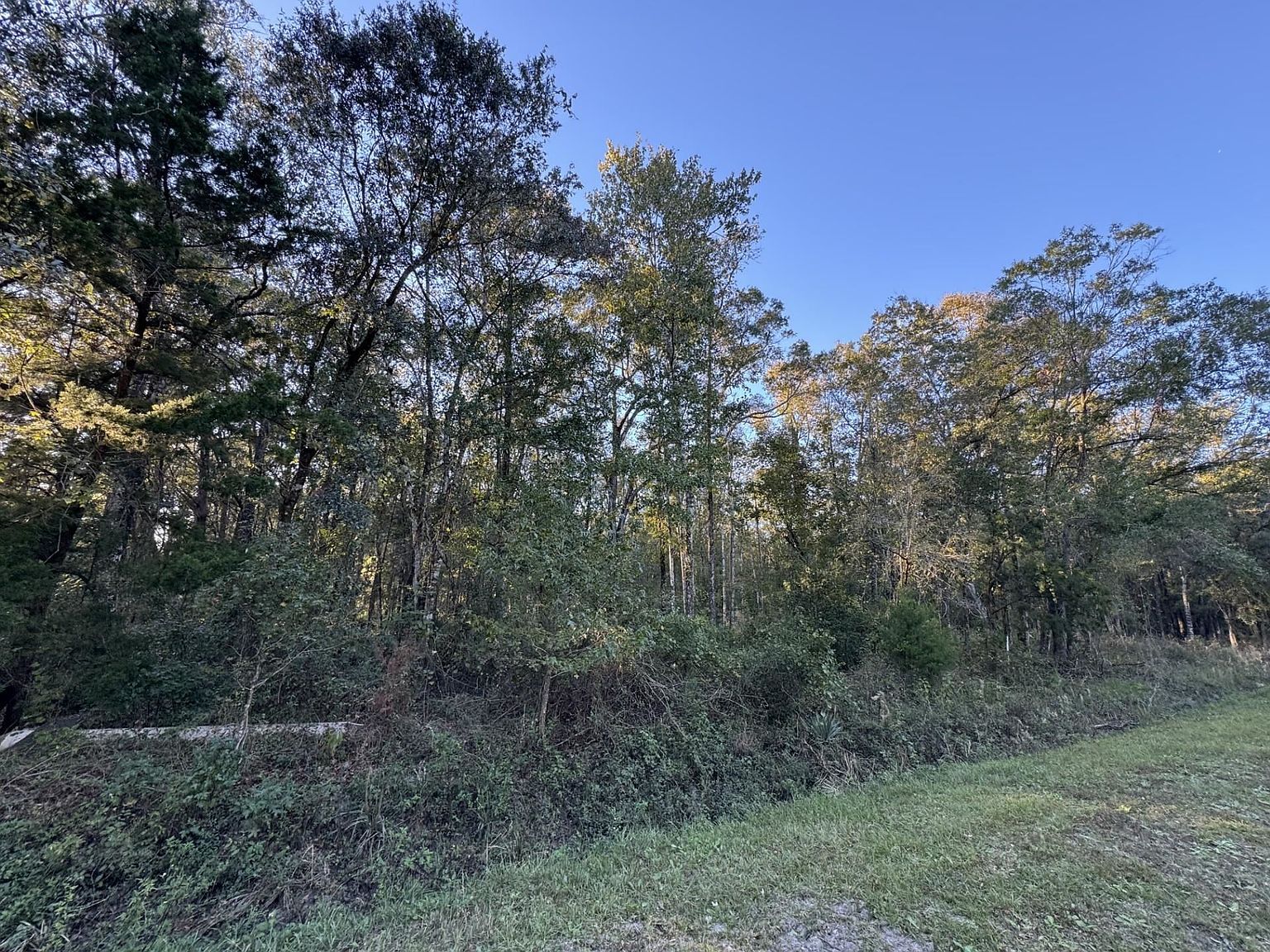 10175 Yeager Ave Hastings, FL 32145 - Thumbnail 4