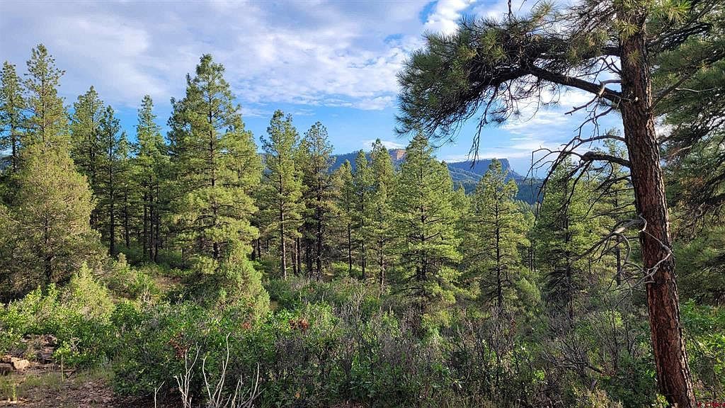 814 Ginger Cir Pagosa Springs, CO 81147 - Thumbnail 4
