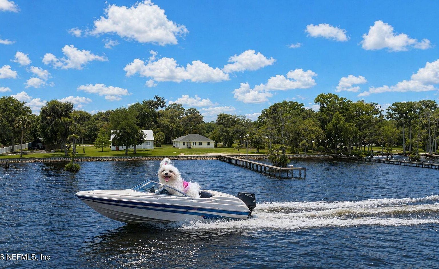 102 Sandra Ln Crescent City, FL 32112 - Thumbnail 4