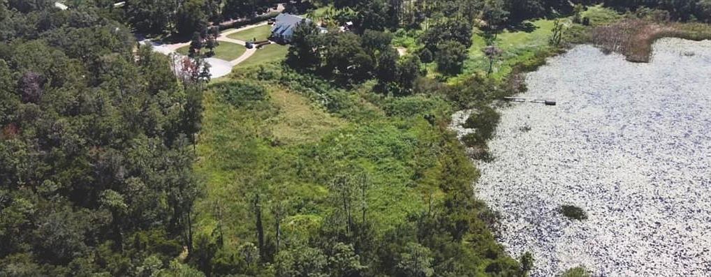 15655 Willo Pines Ln Montverde, FL 34756 - Thumbnail 4