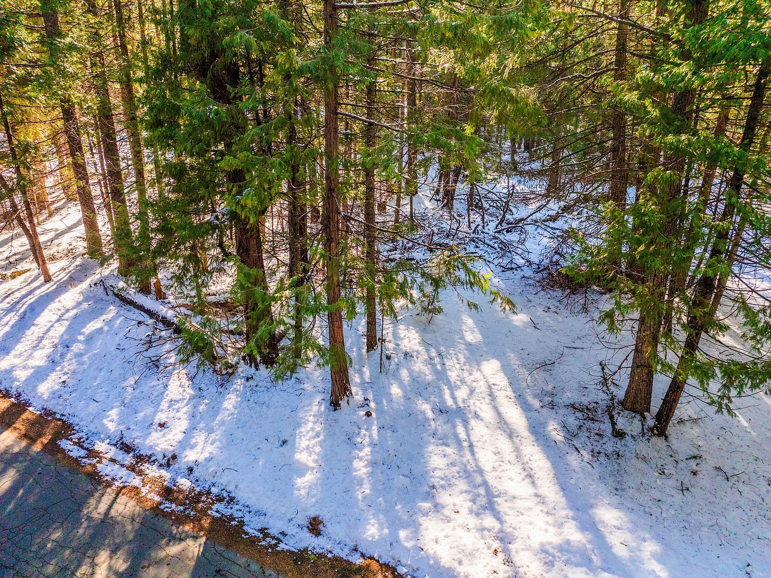 Ritts Mill Rd Shingletown, CA 96088 - Thumbnail 4