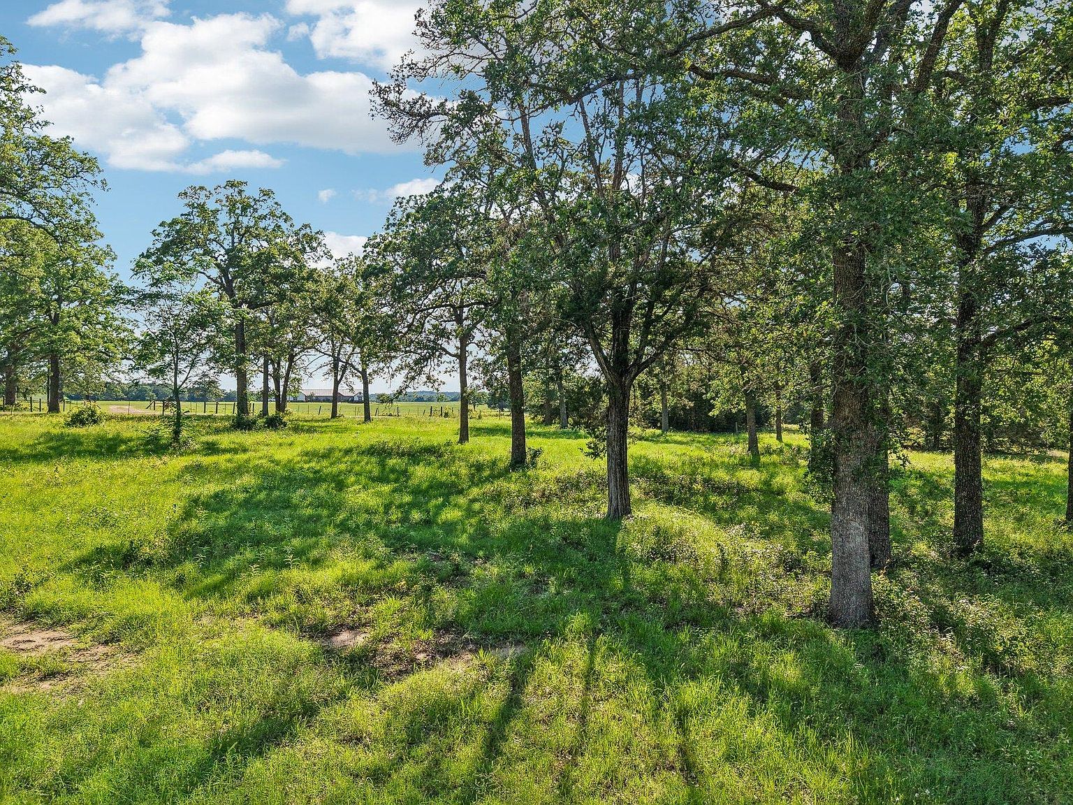 County Road 211 Giddings, TX 78942 - Thumbnail 4