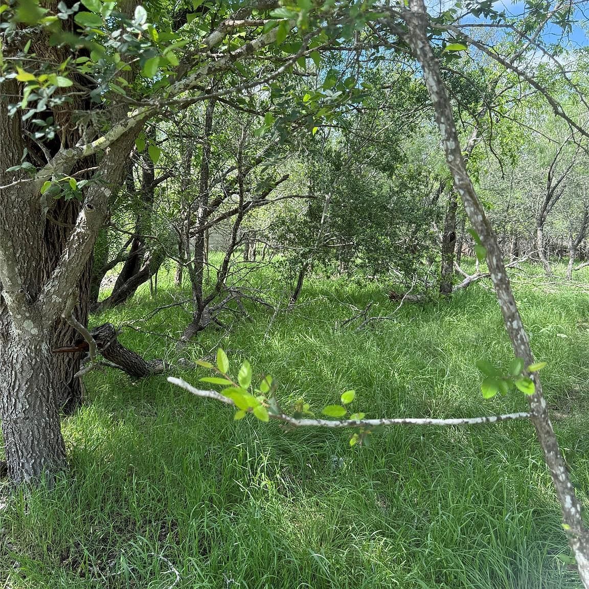 LOT 200 Nene Ln Bastrop, TX 78602 - Thumbnail 4