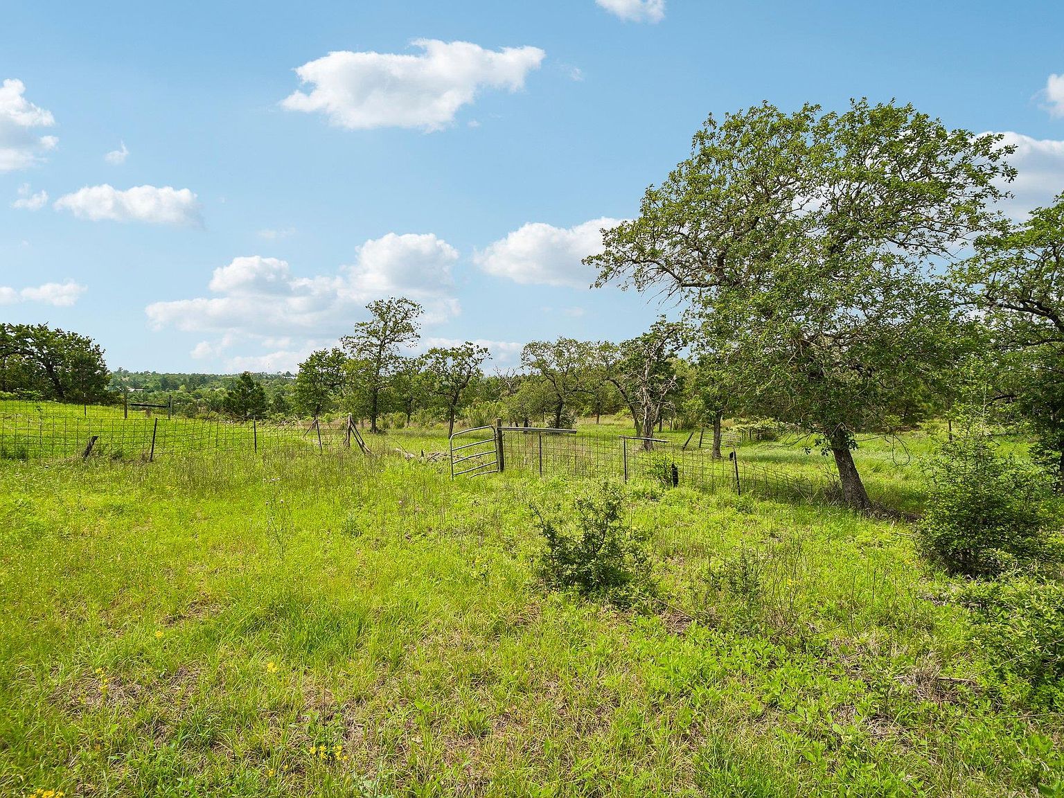 1213 Park Hill Farms Rd #1C Smithville, TX 78957 - Thumbnail 4
