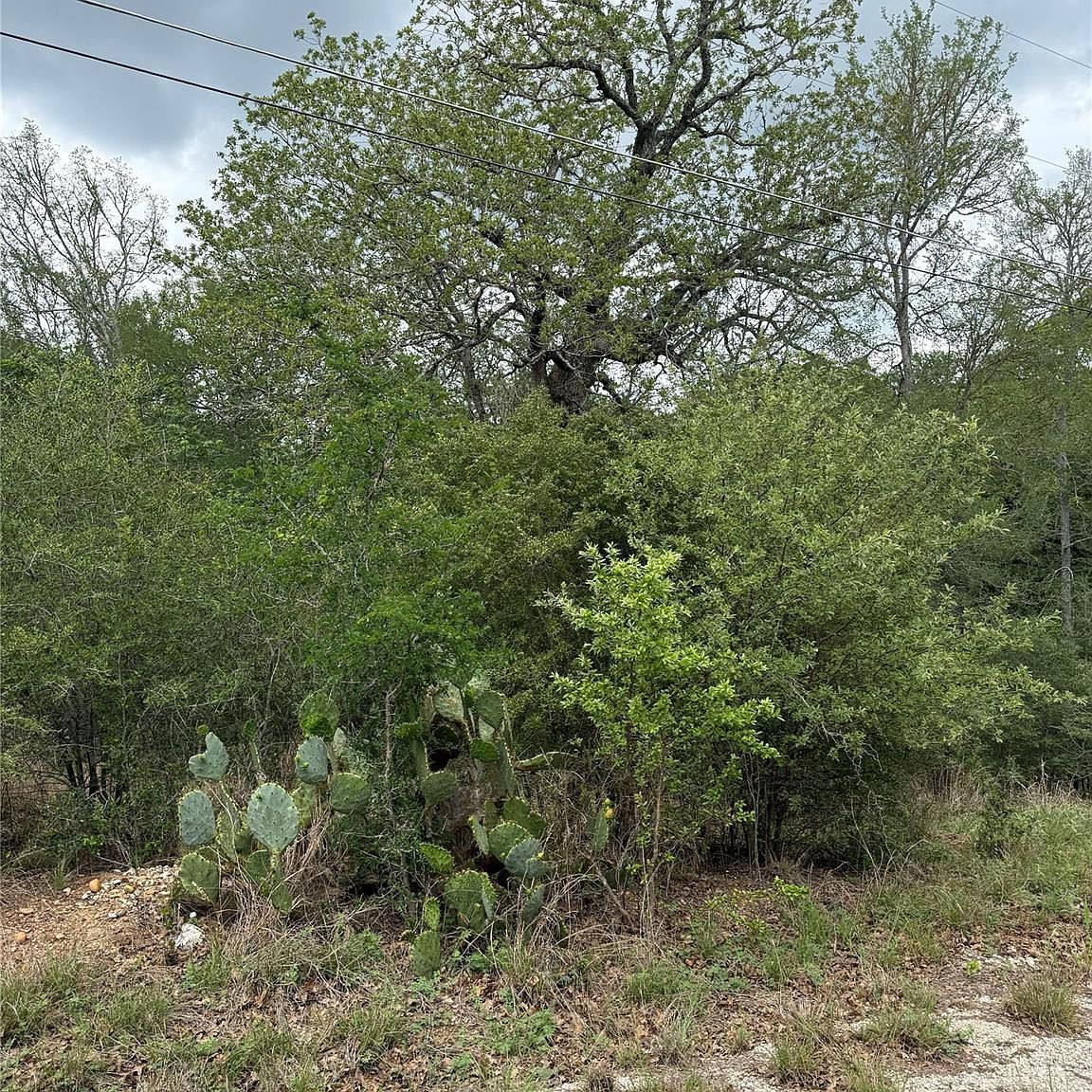 69 Kaelepulu Dr Bastrop, TX 78602 - Thumbnail 4
