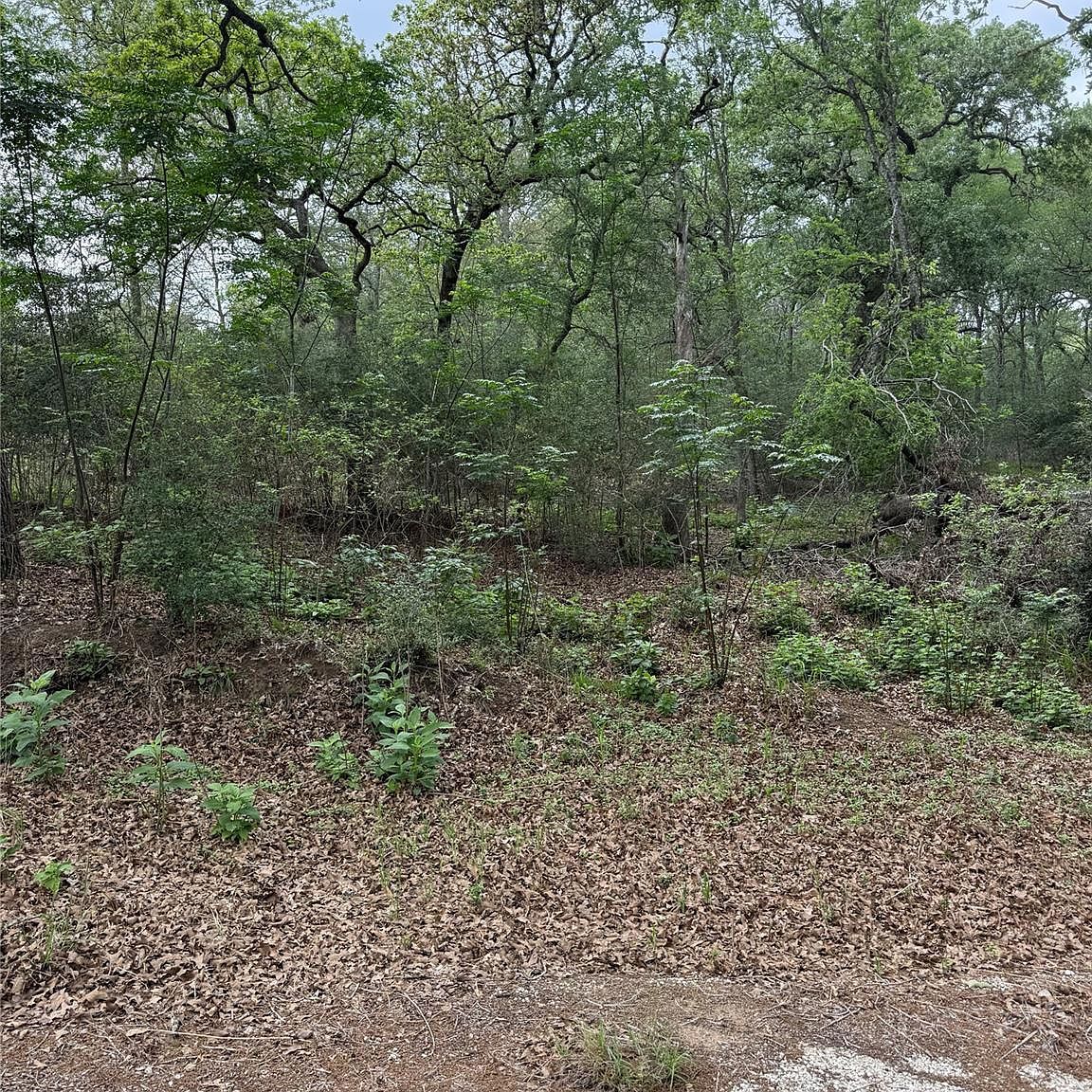 70 Kaelepulu Dr Bastrop, TX 78602 - Thumbnail 4