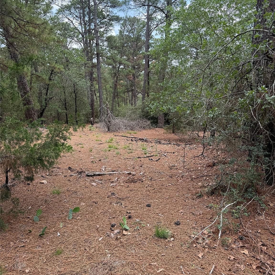 LOT 35 Tanglewood Dr Bastrop, TX 78602 - Thumbnail 4
